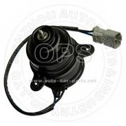 RADIATOR FAN MOTOR